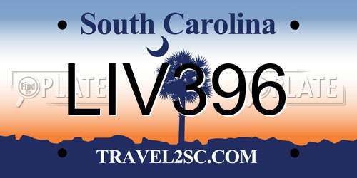 LIV396 South Carolina License Plate