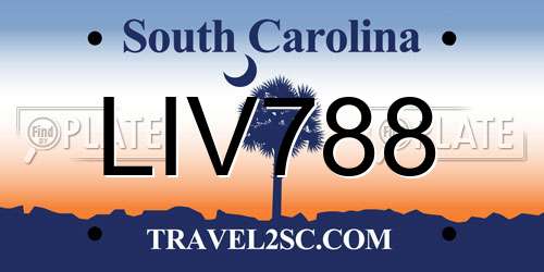 LIV788 South Carolina License Plate