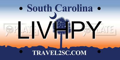 LIVHPY South Carolina License Plate