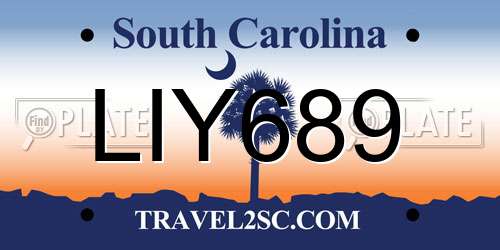 LIY689 South Carolina License Plate
