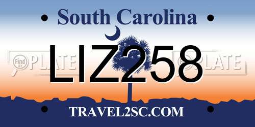 LIZ258 South Carolina License Plate