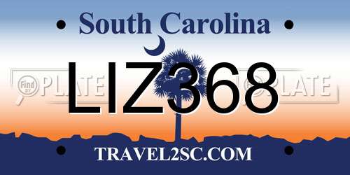 LIZ368 South Carolina License Plate