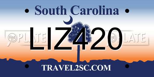 LIZ420 South Carolina License Plate