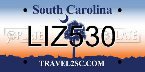 LIZ530 South Carolina License Plate