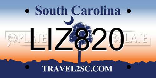 LIZ820 South Carolina License Plate