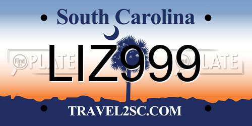 LIZ999 South Carolina License Plate