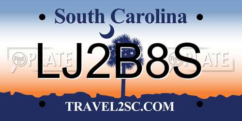 LJ2B8S South Carolina License Plate