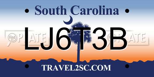 LJ6T3B South Carolina License Plate