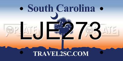 LJE273 South Carolina License Plate