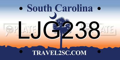 LJG238 South Carolina License Plate