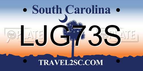 LJG73S South Carolina License Plate