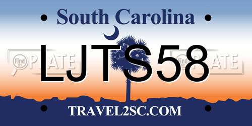 LJTS58 South Carolina License Plate