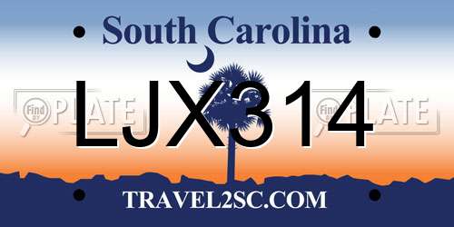 LJX314 South Carolina License Plate