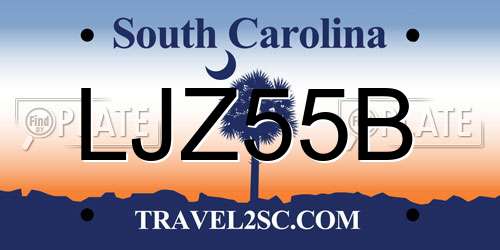 LJZ55B South Carolina License Plate