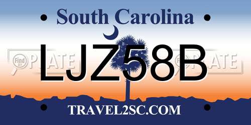 LJZ58B South Carolina License Plate