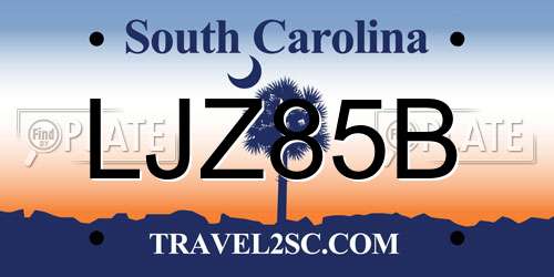 LJZ85B South Carolina License Plate