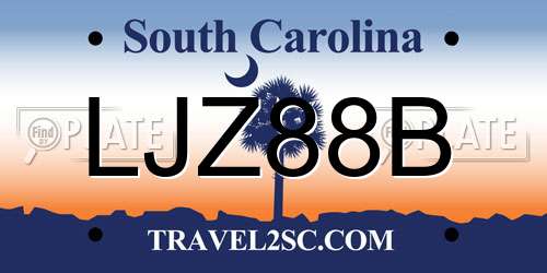LJZ88B South Carolina License Plate