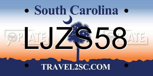 LJZS58 South Carolina License Plate
