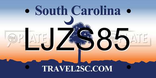 LJZS85 South Carolina License Plate