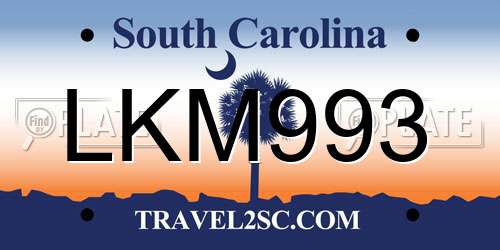 LKM993 South Carolina License Plate