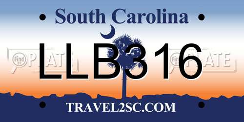 LLB316 South Carolina License Plate