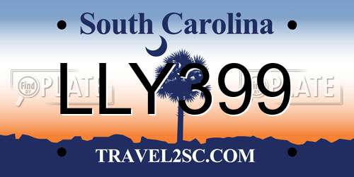 LLY399 South Carolina License Plate