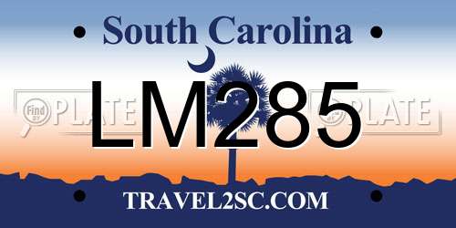 LM285 South Carolina License Plate