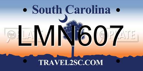 LMN607 South Carolina License Plate