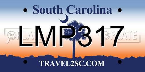 LMP317 South Carolina License Plate