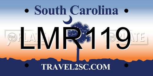 LMR119 South Carolina License Plate