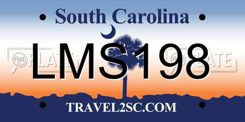 LMS198 South Carolina License Plate
