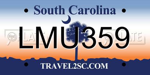 LMU359 South Carolina License Plate