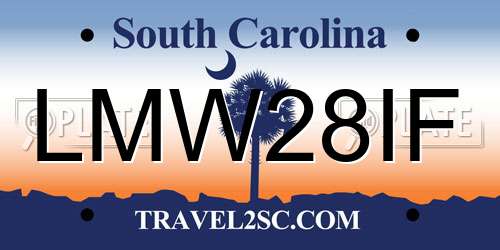 LMW28IF South Carolina License Plate