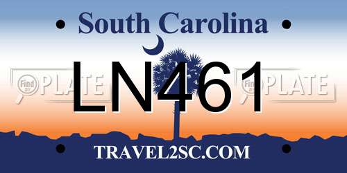 LN461 South Carolina License Plate