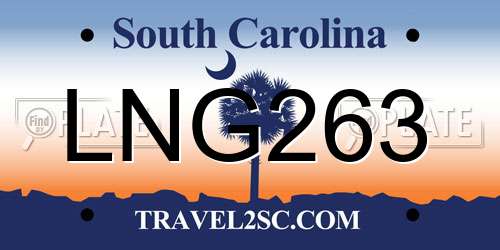 LNG263 South Carolina License Plate