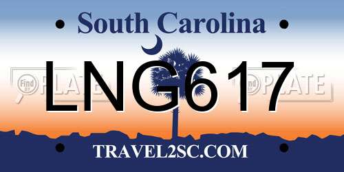 LNG617 South Carolina License Plate