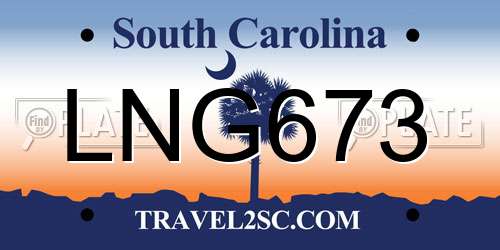 LNG673 South Carolina License Plate