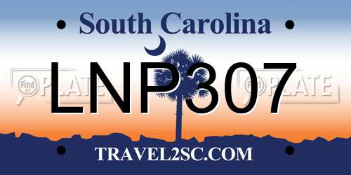 LNP307 South Carolina License Plate