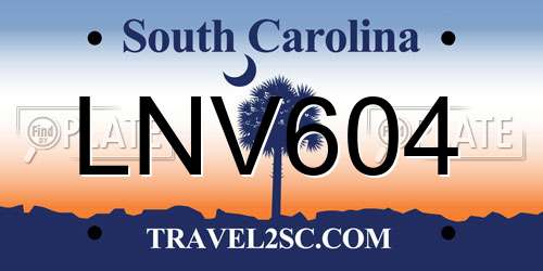 LNV604 South Carolina License Plate