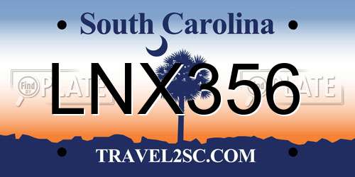 LNX356 South Carolina License Plate