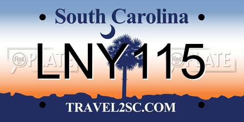 LNY115 South Carolina License Plate