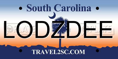 LODZDEE South Carolina License Plate