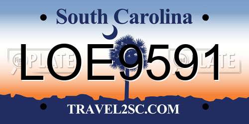 LOE9591 South Carolina License Plate