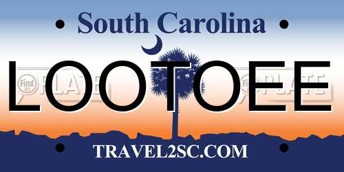 LOOTOEE South Carolina License Plate