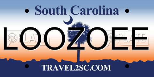 LOOZOEE South Carolina License Plate