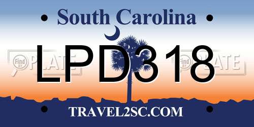 LPD318 South Carolina License Plate