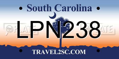 LPN238 South Carolina License Plate