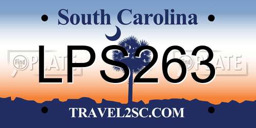 LPS263 South Carolina License Plate