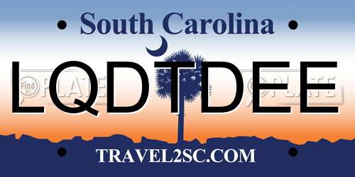 LQDTDEE South Carolina License Plate