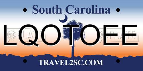 LQOTOEE South Carolina License Plate